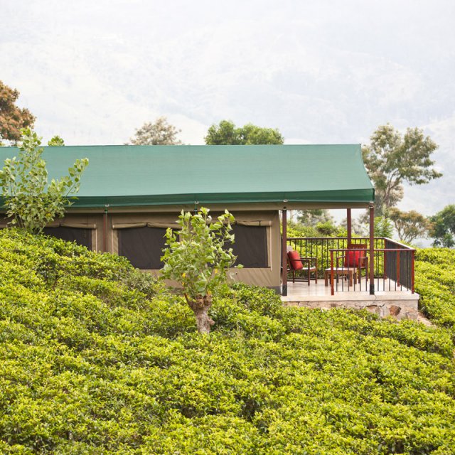 Besonderer Hoteltipp Sri Lanka: Madulkelle Tea and Eco Lodge