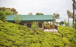Besonderer Hoteltipp Sri Lanka: Madulkelle Tea and Eco Lodge