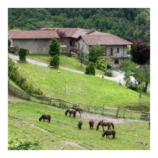 Urlaub auf dem Bauernhof im italienischen Piemont - Ferienwohnung