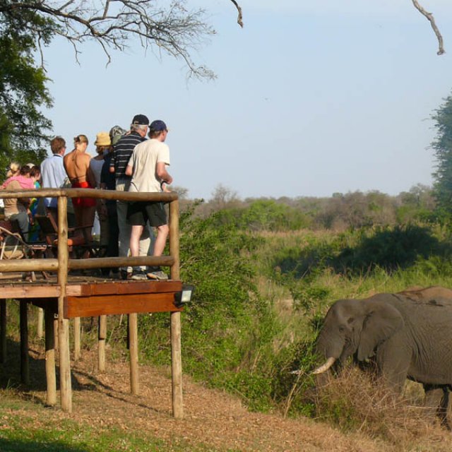 Familienurlaub auf der Makutsi Safari Farm in Südafrika