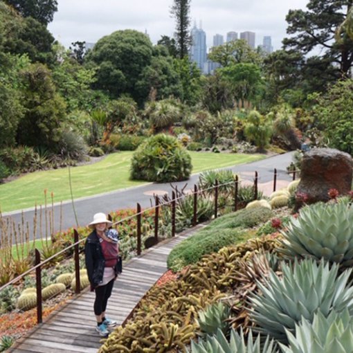 Melbourne mit Baby - Royal Botanical Gardens