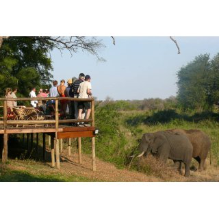 Familienurlaub auf der Makutsi Safari Farm in Südafrika