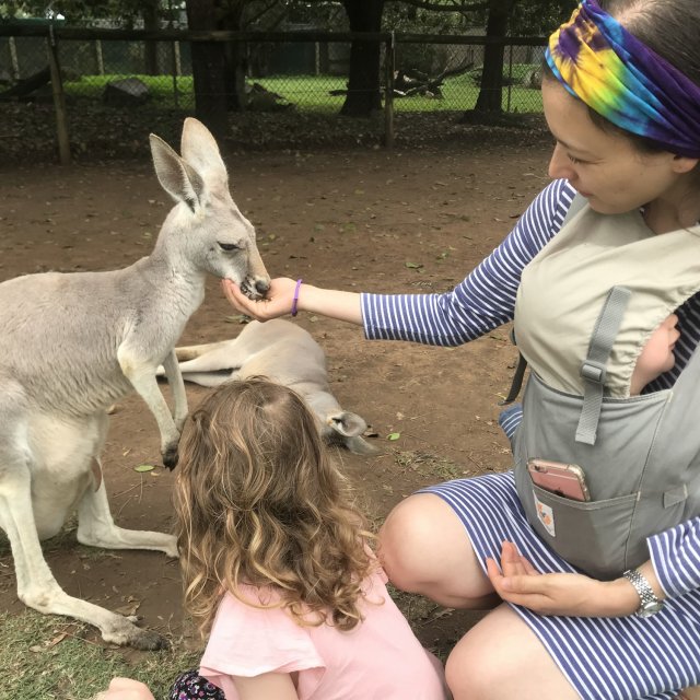 Familie mit Känguru