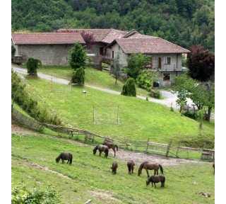 Urlaub auf dem Bauernhof im italienischen Piemont - Ferienwohnung