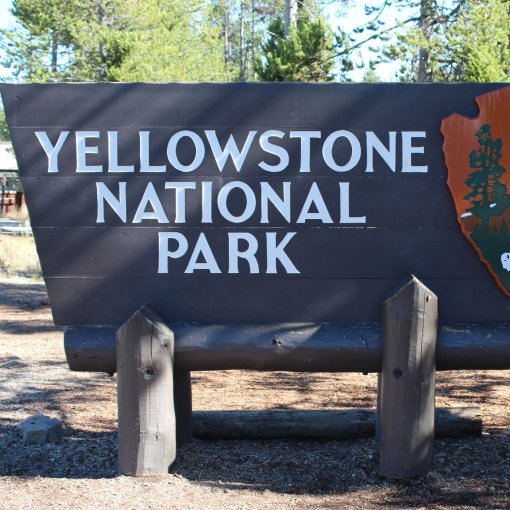 dieweltwartet-blog-kanada-amerika-roadtrip-yellowstone-nationalpark