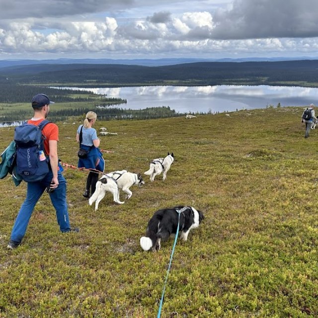 Huskywanderung