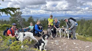 Familienurlaub Schweden - Aktivwoche auf einer Huskyfarm in Lappland