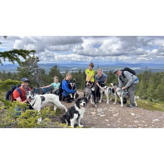 Familienurlaub Schweden - Aktivwoche auf einer Huskyfarm in Lappland