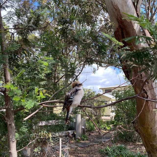 Dieweltwartet-reisefeedback-australien (1)
