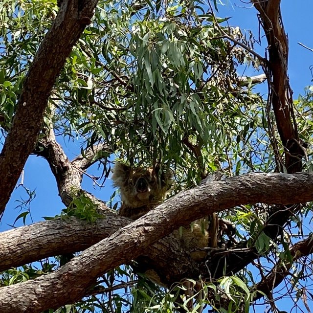 Elternzeit in Western Australia