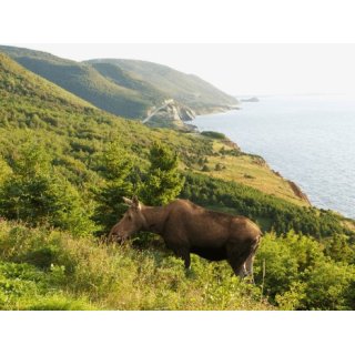 Mietwagenreise Ostkanada, Nova Scotia mit Kindern