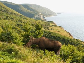 Mietwagenreise Ostkanada, Nova Scotia mit Kindern