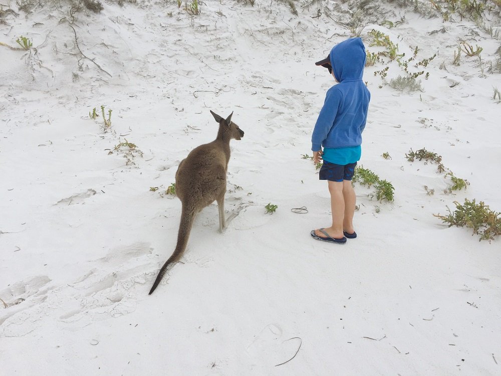 Reisebericht - Western Australia im Wohnmobil