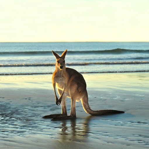 Reisepreis für eine 21-tägige Australienreise