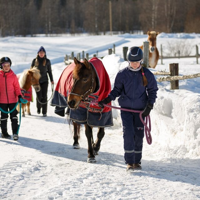 Finnland Reiterhof