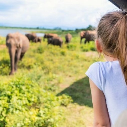 Yala Nationalpark