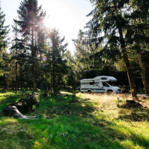 Im Wohnmobil durch Schweden
