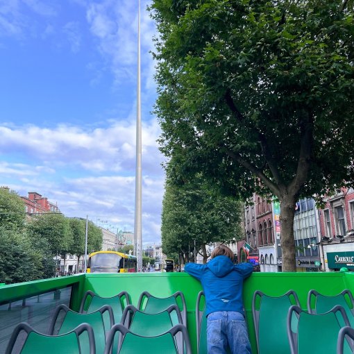 Dublin Bustour