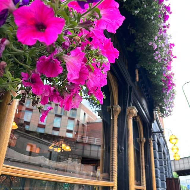 Dublin Pub