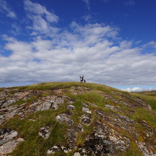 Elternzeitreise Schottland