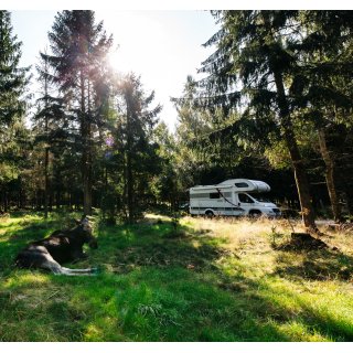 Elternzeitreise Schweden im Wohnmobil