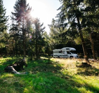 Elternzeitreise Schweden im Wohnmobil