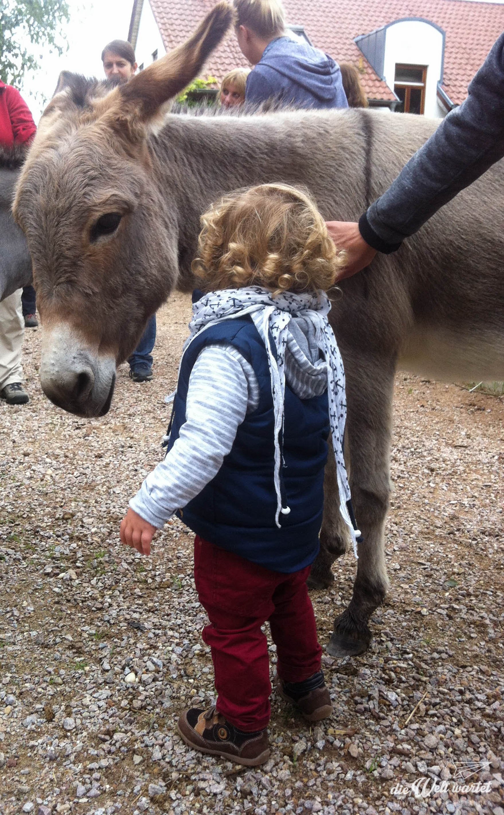 Eselwandern mit Kindern