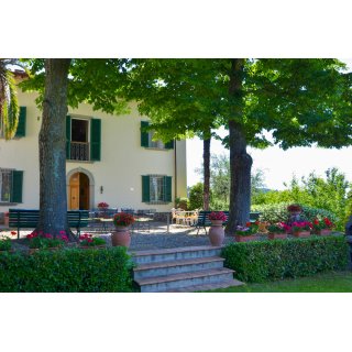 Ferienhaus Villa Napoleone Toskana / Italien