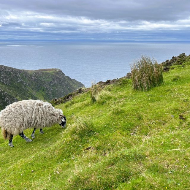 Irland Reiseplanung mit Kindern