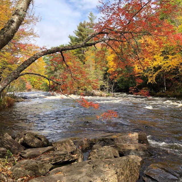 Indian Summer