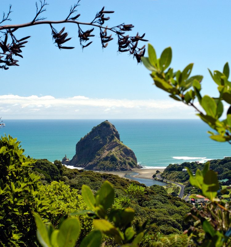 Phia Beach Auckland credits Scott Venning