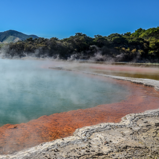 Neuseeland-bilder (1)