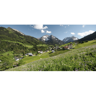 Familienurlaub in den Bergen - Kleinwalsertal