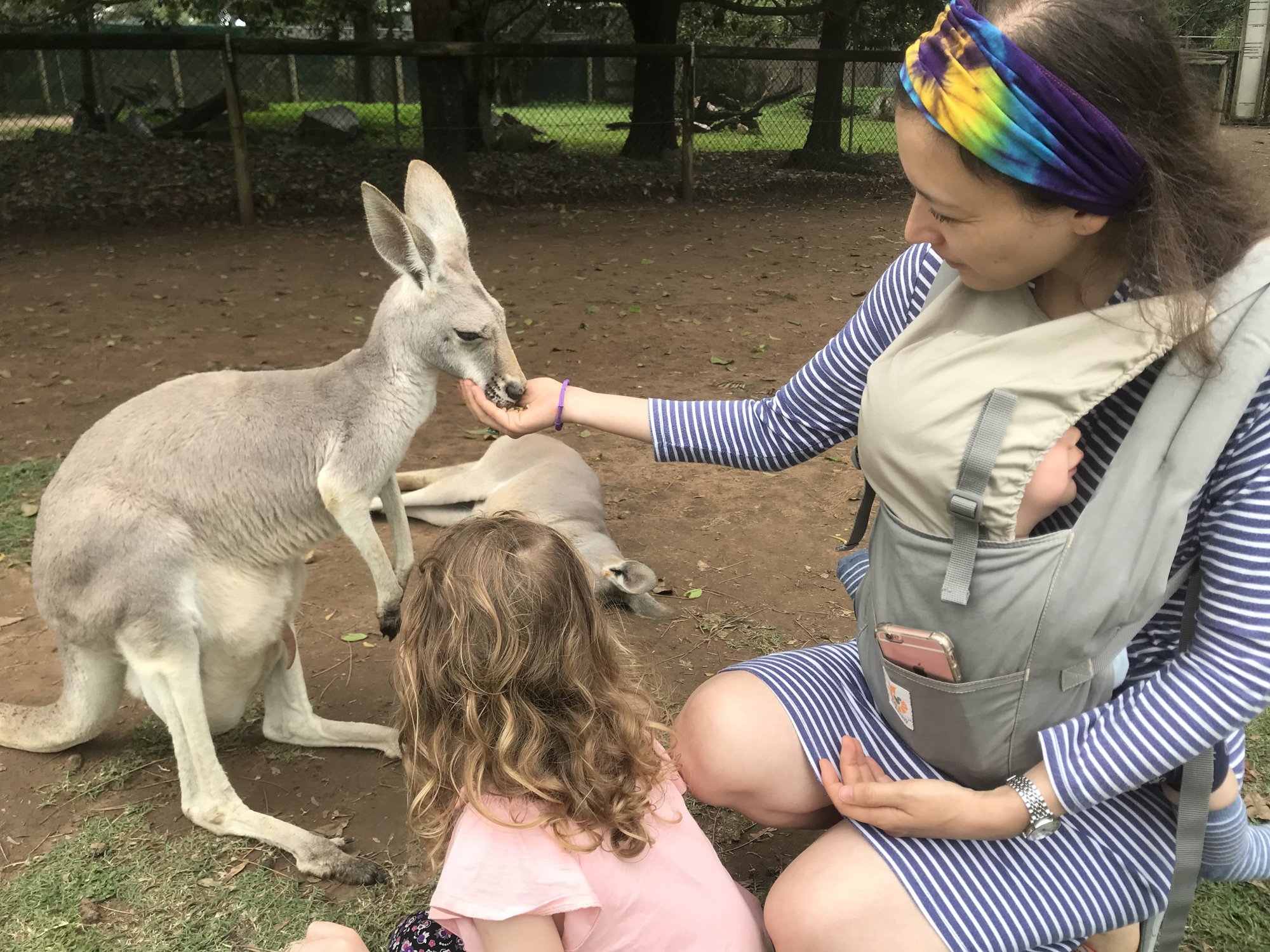 Reisebericht - Elternzeit Australien