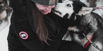 Huskyschlittenhund