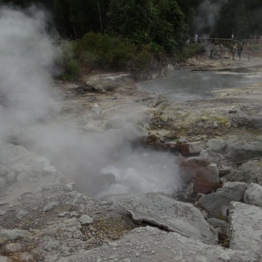 Dampfende Quellen in Furnas