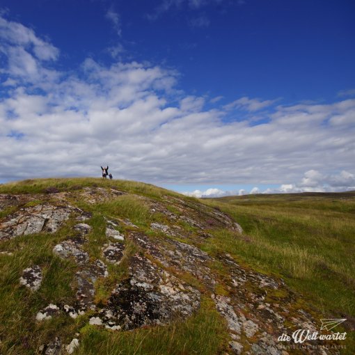 Wandern in Schottland