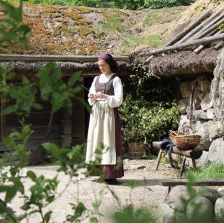 Freilichtmuseum Skansen, Stockholm - Familientour