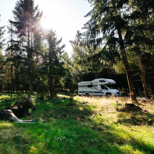 Im Wohnmobil durch Schweden